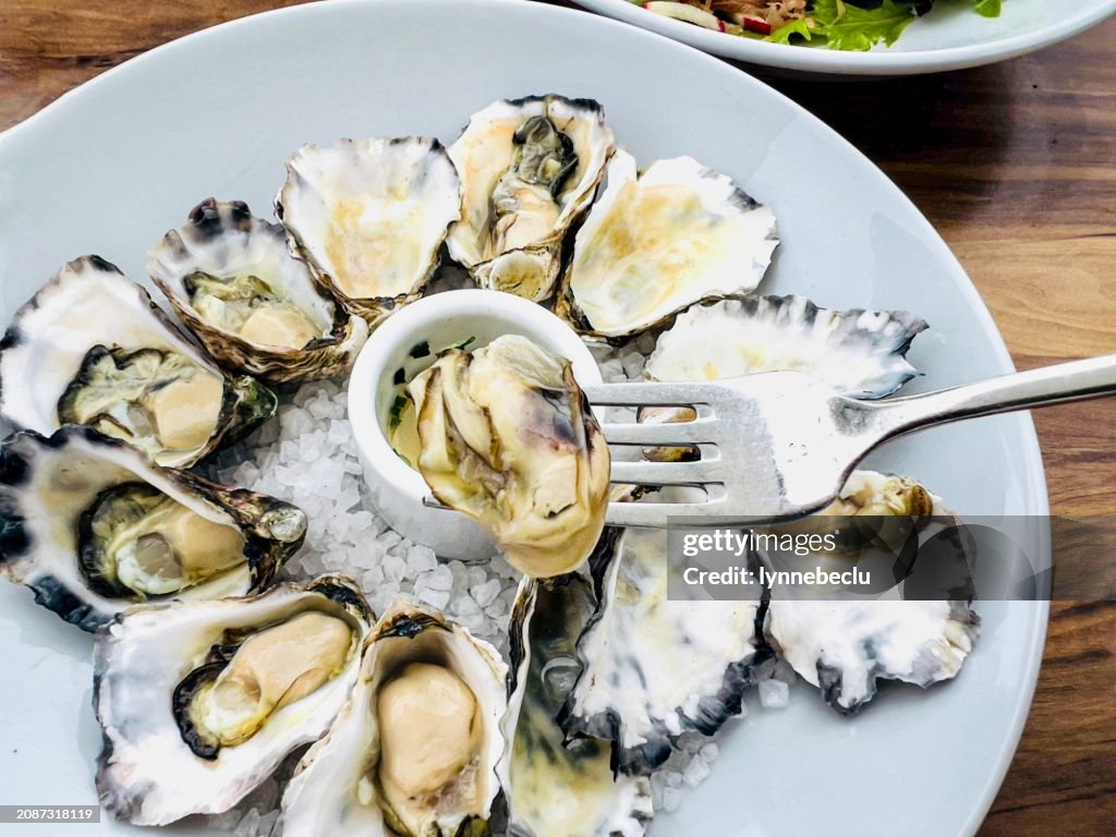 Ostras de roca con denominación australiana en un plato