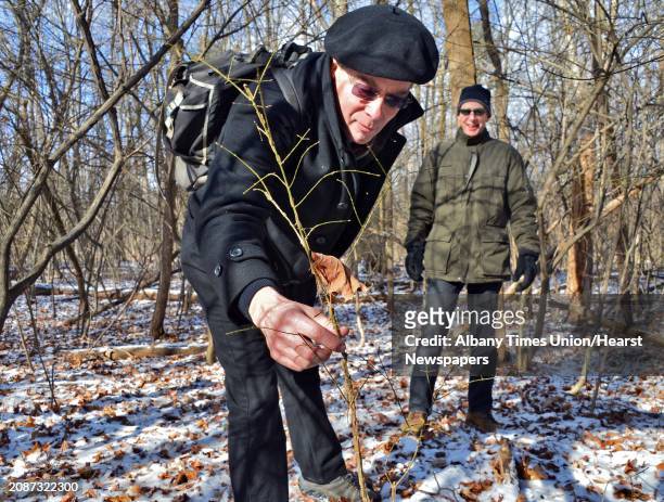 Tom Denny, left, and Rick Fenton of Sustainable Saratoga point out burning bushes in the Skidmore Campus North Woods Thursday Dec. 12 in Saratoga...
