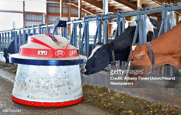 Lely Juno feed pusher robot in action at O.A. Borden & Sons dairy farm Thursday June 12 in Schaghticoke, NY.