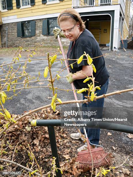 Kim Spiak of the Albany Best Western cleans out under a forsythia bush during a Hospitality Gives Back: Clean-Up Day at Historic Cherry Hill Friday...