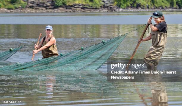 Rebecca Houser, left, DEC environmental science coordinator, and Hudson River Project volunteer Kacie Giuliano pull a 30-foot net checking out the...