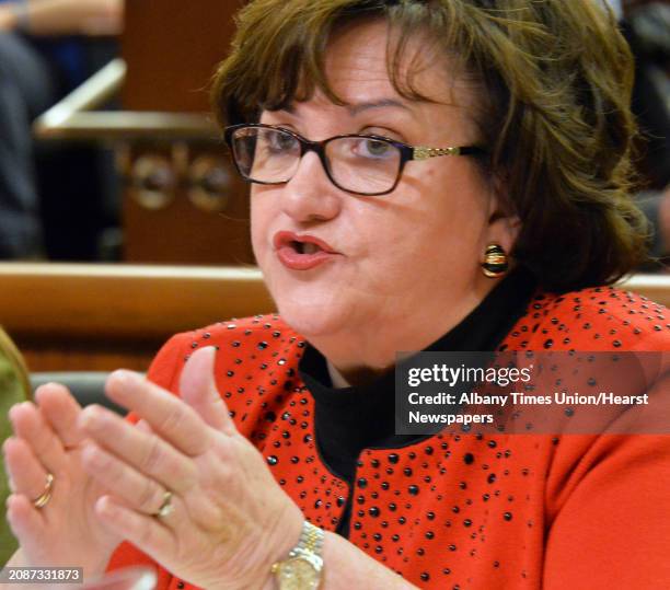 Commissioner of Education MaryEllen Elia testifies before the state Senate and Assembly as they hold a joint budget hearing on elementary and...