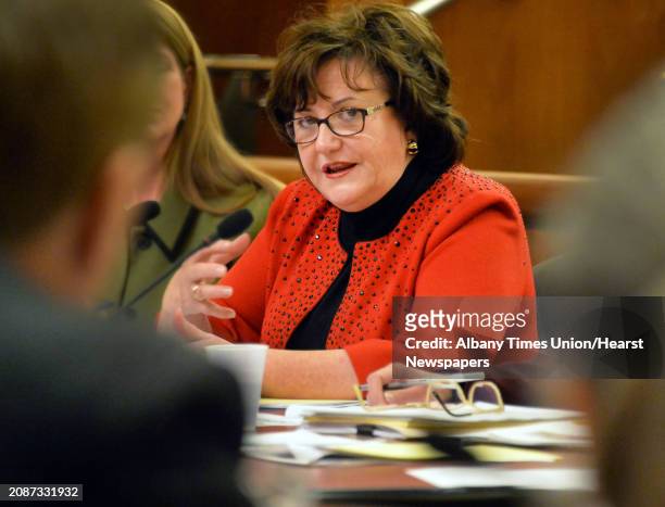 Commissioner of Education MaryEllen Elia testifies before the state Senate and Assembly as they hold a joint budget hearing on elementary and...