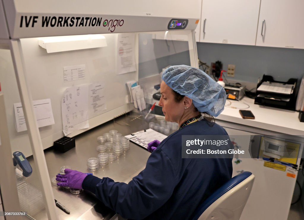 IVF At Brigham & Women's Hospital