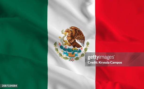 flag of mexico - bandeira do méxico imagens e fotografias de stock