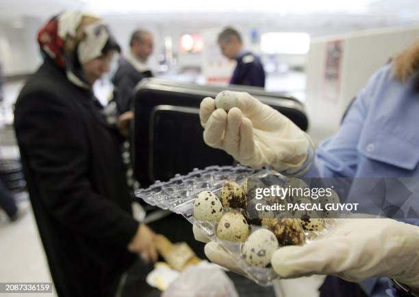 Customs officer shows quail eggs while checking luggages of travellers coming from Istanbul, 16 February 2006 at the Nice Airport, Southern France....