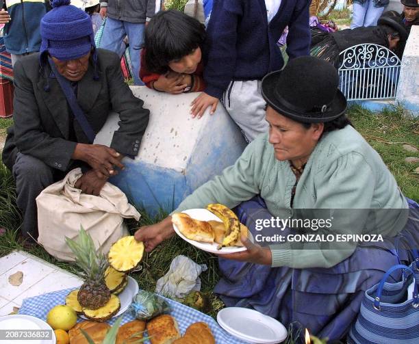 Woman is seen preparing food on in the cemetary of Callapa during the Day of the Dead in La Paz, Bolivia 02 November 2002. Una mujer prepara en la...