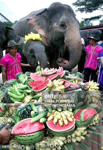 Elephants enjoy a wide array of tropical friuts and vegetables during an elephant banquet to mark Thai Elephant's Health Day, 06 June 2000 in...