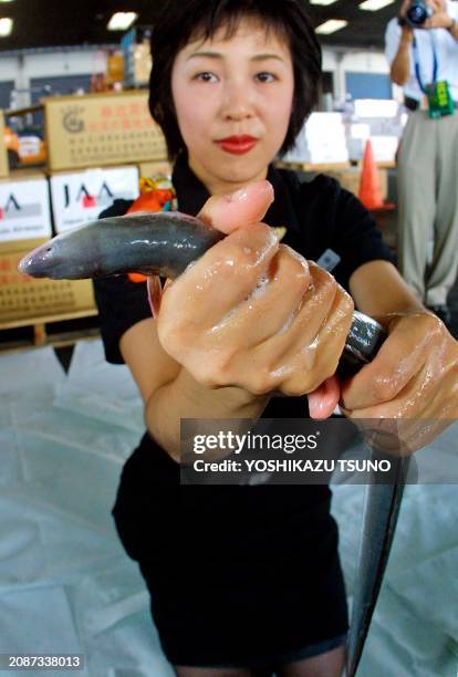 Japan Asia Airways flight attendant Takae Tsuruta shows a live eel imported from Taiwan at the new Tokyo International Airport in Narita city,...
