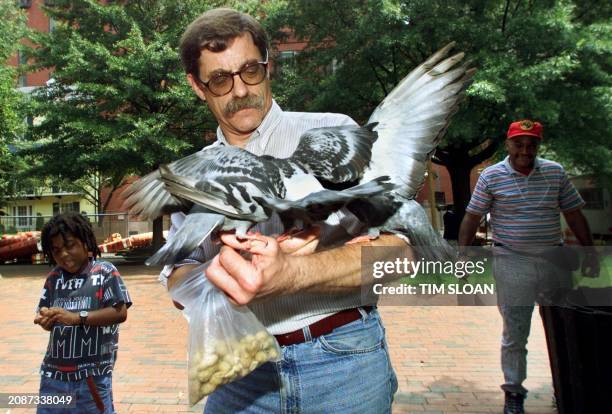 Richard Cohn feeds several pigeons with a bag a peanuts in Lafayette Park 01 August 2000, something the Veterans Administration employee tries to do...