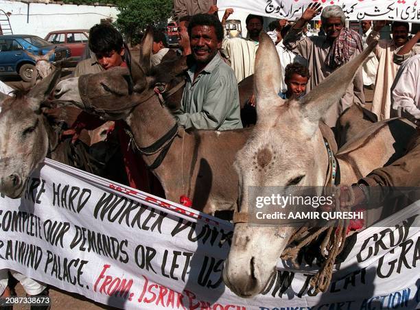 Donkey cart owners along with their donkeys rally in downtown Karachi 15 March 1999 to protest against a hike in fodder prices. Dozens of cart owners...