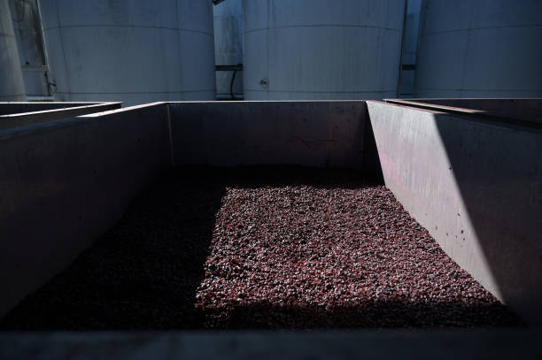 AUS: Australian Winery As China To End Punitive Wine Tariffs