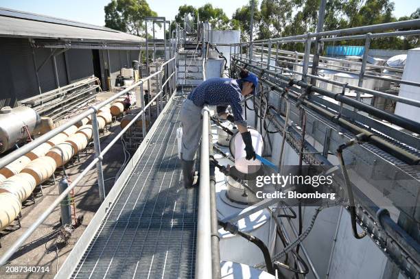 Fermenting vats at the Rob Dolan Estate in Warrandyte South, Victoria, Australia, on Monday, March 18, 2024. Australian vintners and lawmakers said...