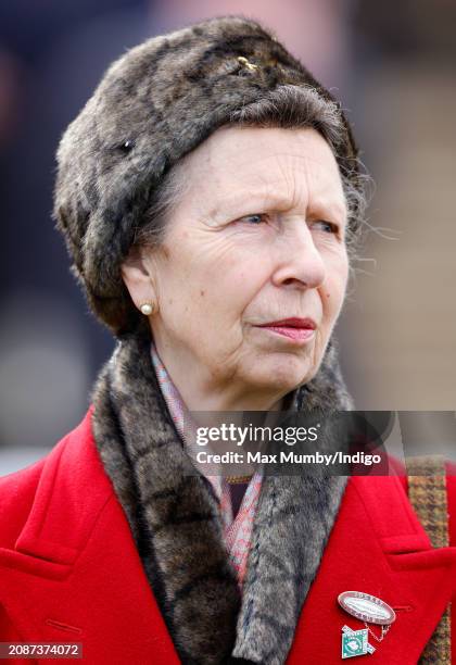 Princess Anne, Princess Royal attends day 4 'Gold Cup Day' of the Cheltenham Festival at Cheltenham Racecourse on March 15, 2024 in Cheltenham,...