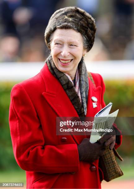 Princess Anne, Princess Royal attends day 4 'Gold Cup Day' of the Cheltenham Festival at Cheltenham Racecourse on March 15, 2024 in Cheltenham,...