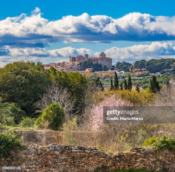 castle of altafulla - tarragona province stock pictures, royalty-free photos & images