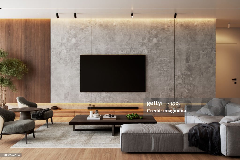 Luxury Modern Living Room