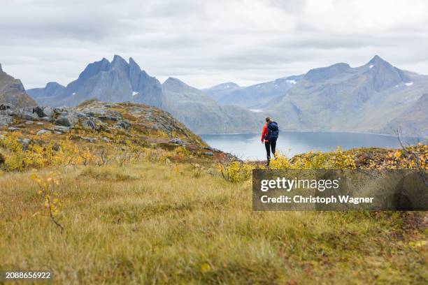woman enjoys the norwegian countryside - moskenesoya stock pictures, royalty-free photos & images