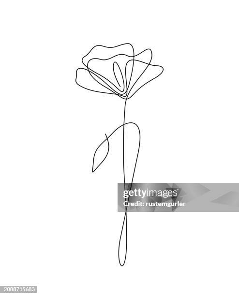 flower drawing mono line. continuous line icon on white background. - bay leaf white background stock illustrations
