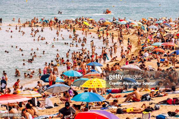 crowds of people on barceloneta beach on a hot summer day, barcelona, spain - overtourism foto e immagini stock