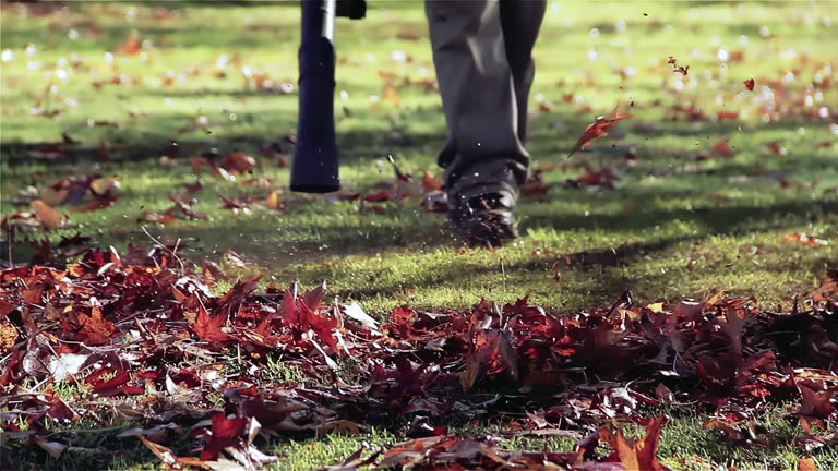 https://media.gettyimages.com/id/2088908768/video/a-gardener-clearing-fallen-leaves-using-a-leaf-blower-low-angle-view-4k-resolution.jpg?b=1&s=640x640&k=20&c=ZLABwpY-Cy6qxxVbu4-1SPG5HDPEdpQ8nWD-t572sbA=