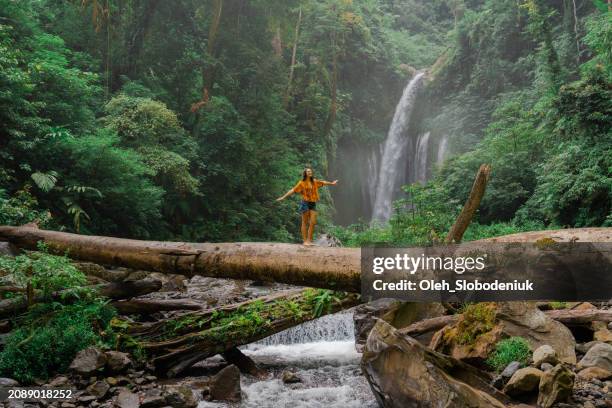 woman crossing river by log on the background of tropical waterfall while hiking - wasserfall stock-fotos und bilder