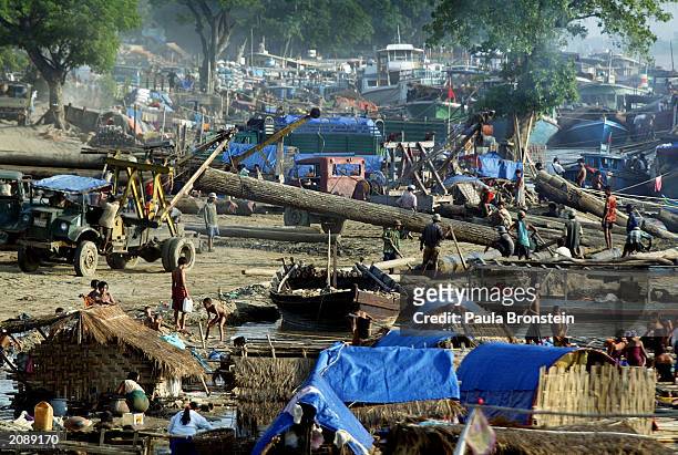 Teak logs are dragged to trucks from boats on the Ayerarwady River in a logging camp June 15, 2003 in Mandalay, Myanmar. It takes four to five months...