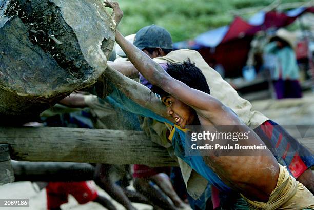 Laborers push a teak log onto a truck in a logging camp on the Ayerarwady River June 15, 2003 in Mandalay, Myanmar. It takes four to five months for...