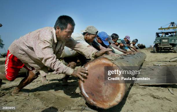 Workers push huge teak logs along the Ayerarwady River June 14, 2003 in Mandalay, Myanmar. It takes four to five months for the wood to arrive by...