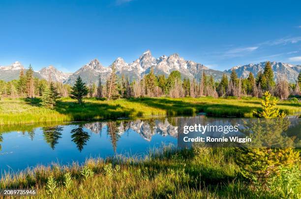 schwabacher landing entrance - river snake stock pictures, royalty-free photos & images