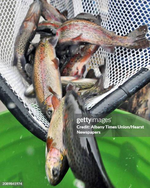 Fish Stocking 138 Trout Stocked Stock Photos, High-Res Pictures, and Images - Getty ...