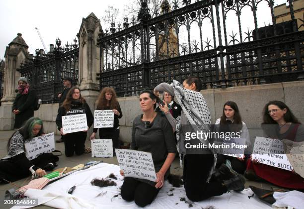 Protesters hold signs against the plight of people living in Gaza while their colleague has her head shaved outside the Houses of Parliament on March...