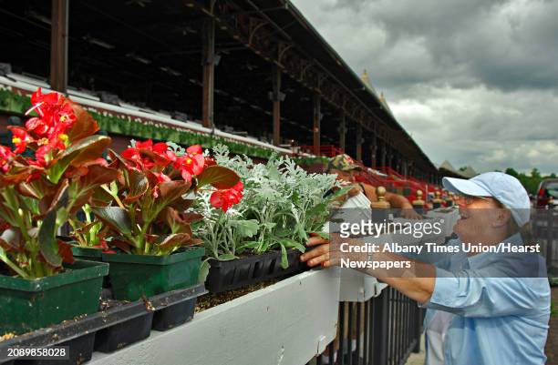Times Union staff photo by John Carl D'Annibale: Janice Taylor of Dehn Flowers in Saratoga Springs, places flowers, begonias and dusty miller, around...