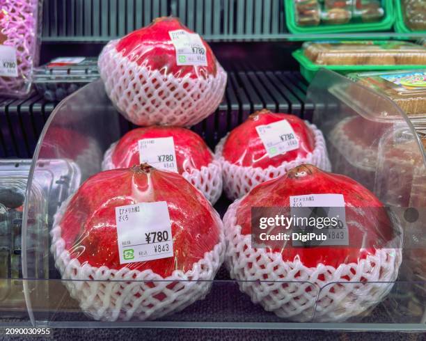 american pomegranates in protective netting - raw acrylic ストックフォトと画像