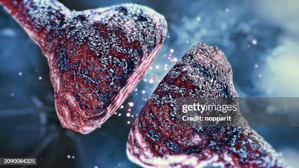 neuron synapse,impulses in brain. - dopaminergic system stock pictures, royalty-free photos & images