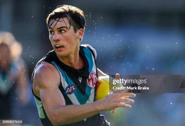 Connor Rozee Colouring Connor Rozee Photos and Premium High Res Pictures - Getty Images