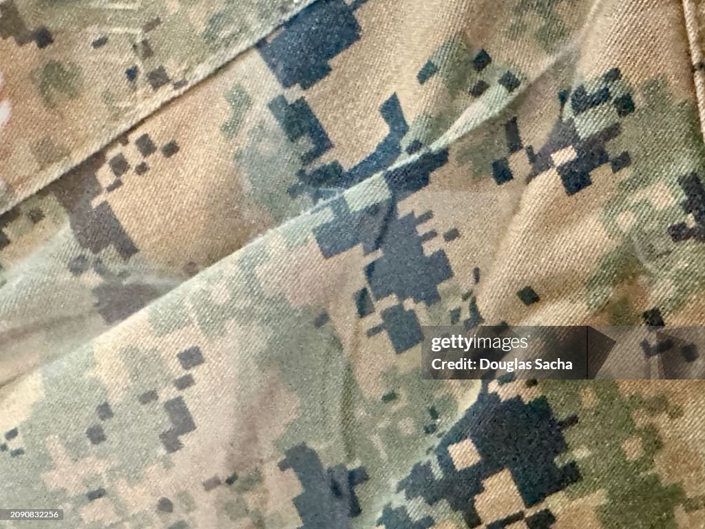 Camouflaged pattern for hunting