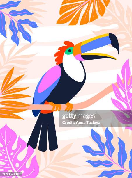 toucan with plants minimalistic illustration - toucan stock illustrations