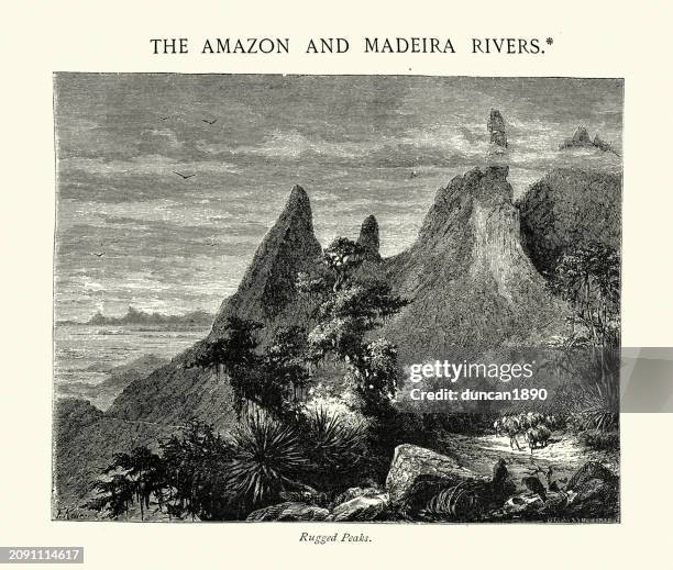 amazonas und madeira, schroffe gipfel, landschaft, 19. jahrhundert - amazon river stock-grafiken, -clipart, -cartoons und -symbole