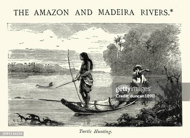 schildkrötenjagd auf dem amazonas, jäger mit pfeil und bogen, 19. jahrhundert - amazon river stock-grafiken, -clipart, -cartoons und -symbole