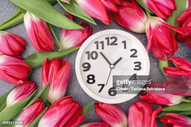 red tulips around white clock close-up - spring forward fotografías e imágenes de stock