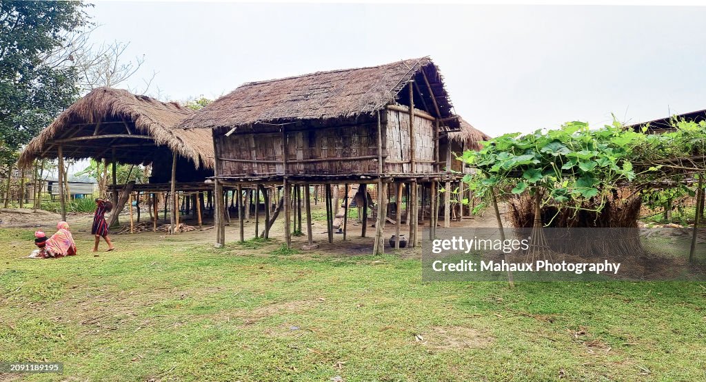 Typical houses on stilts in Sowgury village of the Mishing minority on the island of Majuli, Assam, India.