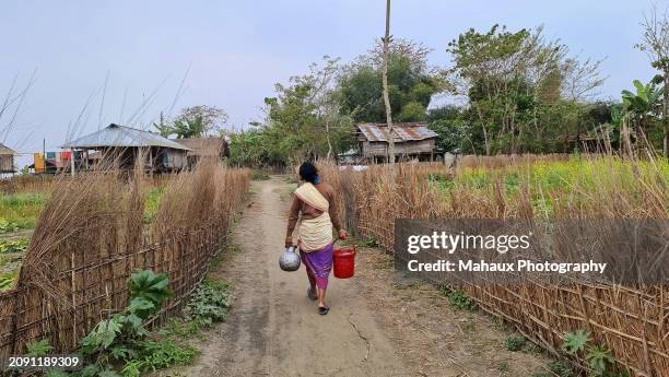 lifestyles in sowgury village of the mishing minority on the island of majuli, assam, india. - assam stock pictures, royalty-free photos & images