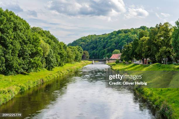 idyllic river landscape with meadows and lush green trees in gera untermhaus in eastern thuringia on the river weiße elster. - east germany stock pictures, royalty-free photos & images