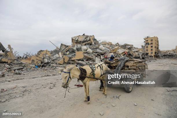 Donkey waits by a cart as people inspect the damage and extract items from their homes in Hamad Town after their towers were destroyed by Israeli air...