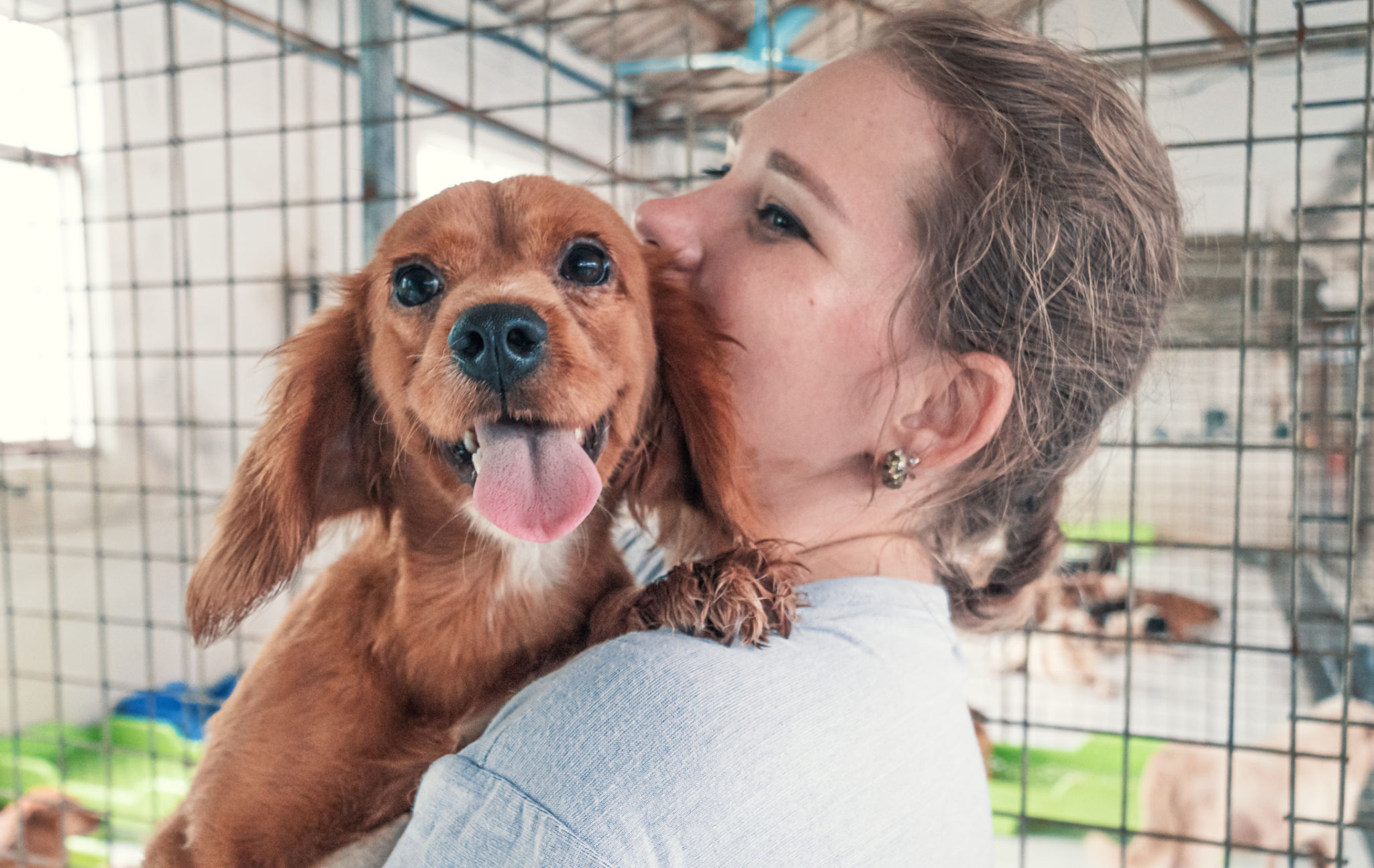 animal shelter