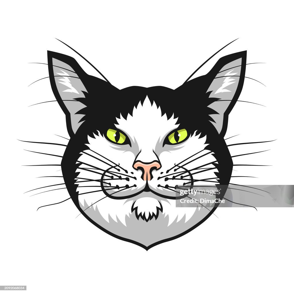 Schwarz-Weißer Katzenkopf mit Schnurrbart