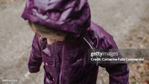 a little girl wearing a purple raincoat has been soaked in the rain - rainy season stock pictures, royalty-free photos & images