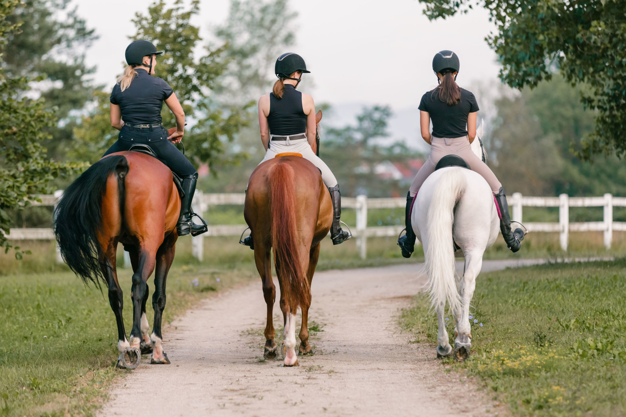 horseback rider posture