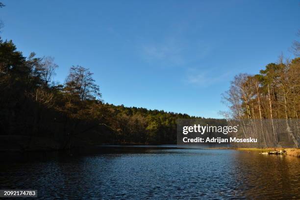 a serene lake surrounded by a dense forest under the clear blue sky, reflecting nature’s untouched beauty - gothenburg winter stock pictures, royalty-free photos & images